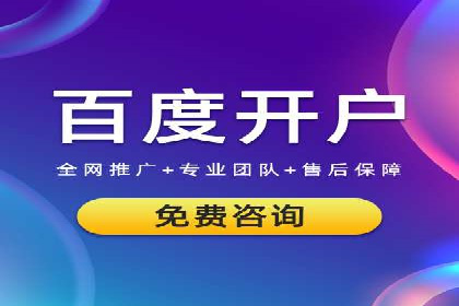 SEM推广实战：案例分析与优化